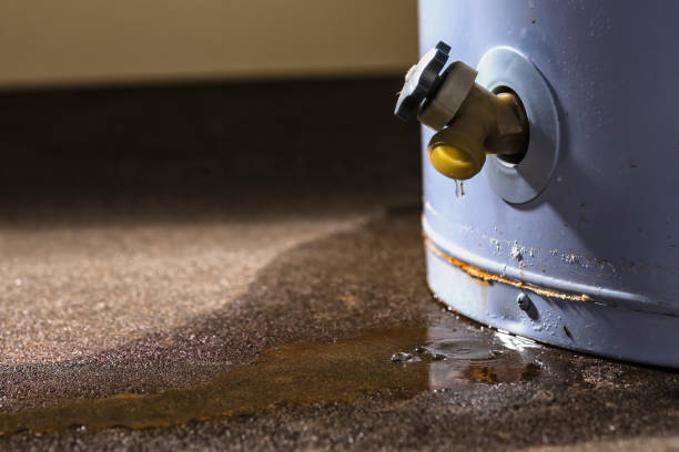 Best Sewage cleanup and water damage restoration  in Sa De Oro Mount Helix, CA