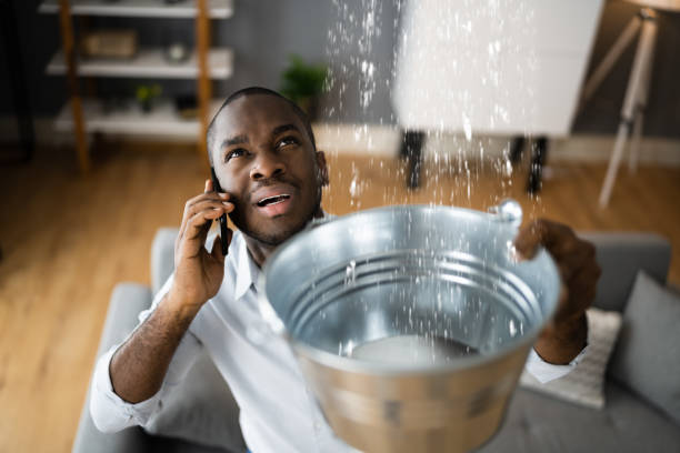Best 24/7 water damage repair  in Sa De Oro Mount Helix, CA