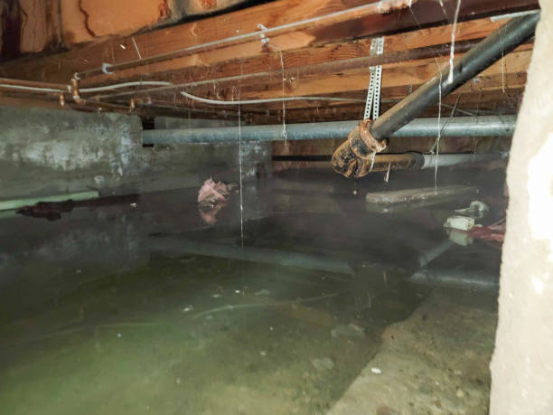 Best Fire Damage Restoration  in Sa De Oro Mount Helix, CA