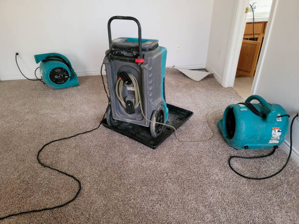 Best Fire Damage Restoration  in Sa De Oro Mount Helix, CA