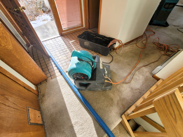 Best Fire Damage Restoration  in Sa De Oro Mount Helix, CA