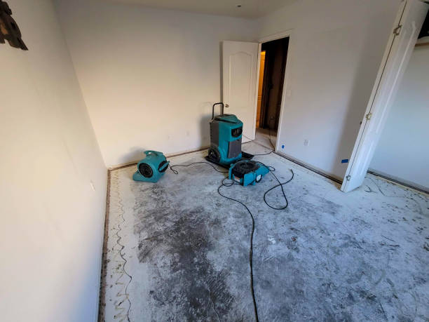 Best Residential water damage restoration  in Sa De Oro Mount Helix, CA
