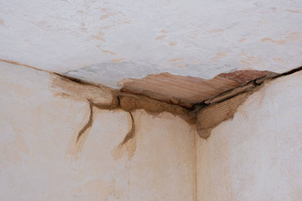 Best Water damage repair service  in Sa De Oro Mount Helix, CA