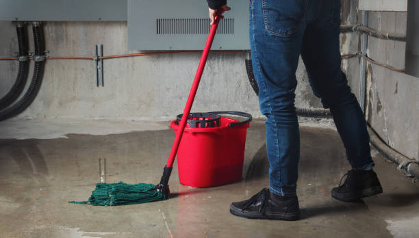 Best Water damage contractors near me  in Sa De Oro Mount Helix, CA