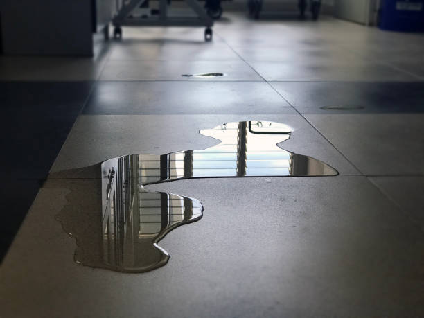 Best Water damage repair service  in Sa De Oro Mount Helix, CA