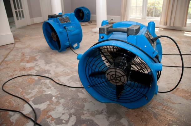 Best 24/7 water damage repair  in Sa De Oro Mount Helix, CA