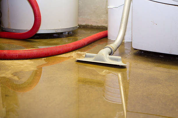 Best Flood restoration services  in Sa De Oro Mount Helix, CA
