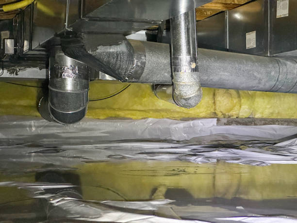 Best Sewage cleanup and water damage restoration  in Sa De Oro Mount Helix, CA
