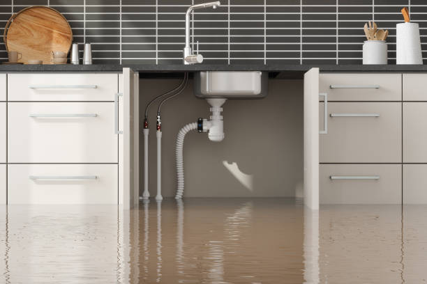 Best Water damage restoration experts  in Sa De Oro Mount Helix, CA